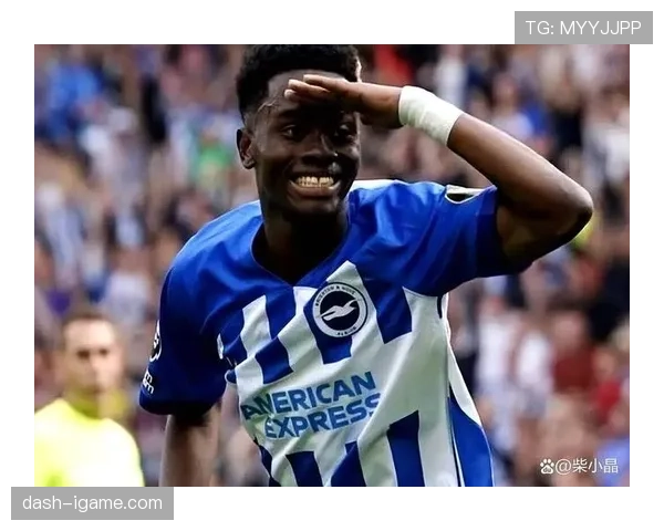 桑德兰转会预算增加，球队战略布局持续提升有望更有竞争力