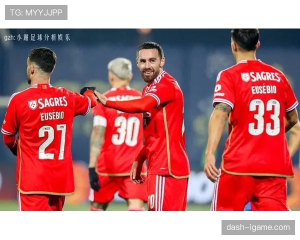 本菲卡主场优势显著，近期战绩表现稳健